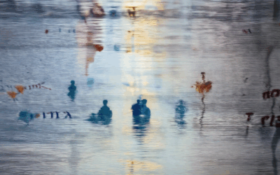 Transformative Power of Reflections on Storytelling: What They Reveal About Their Impact and Significance